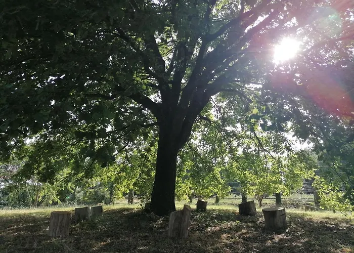 וילה Podere La Zinzinina - Intera מונטה קטיני ואל די צ'צ'ינה